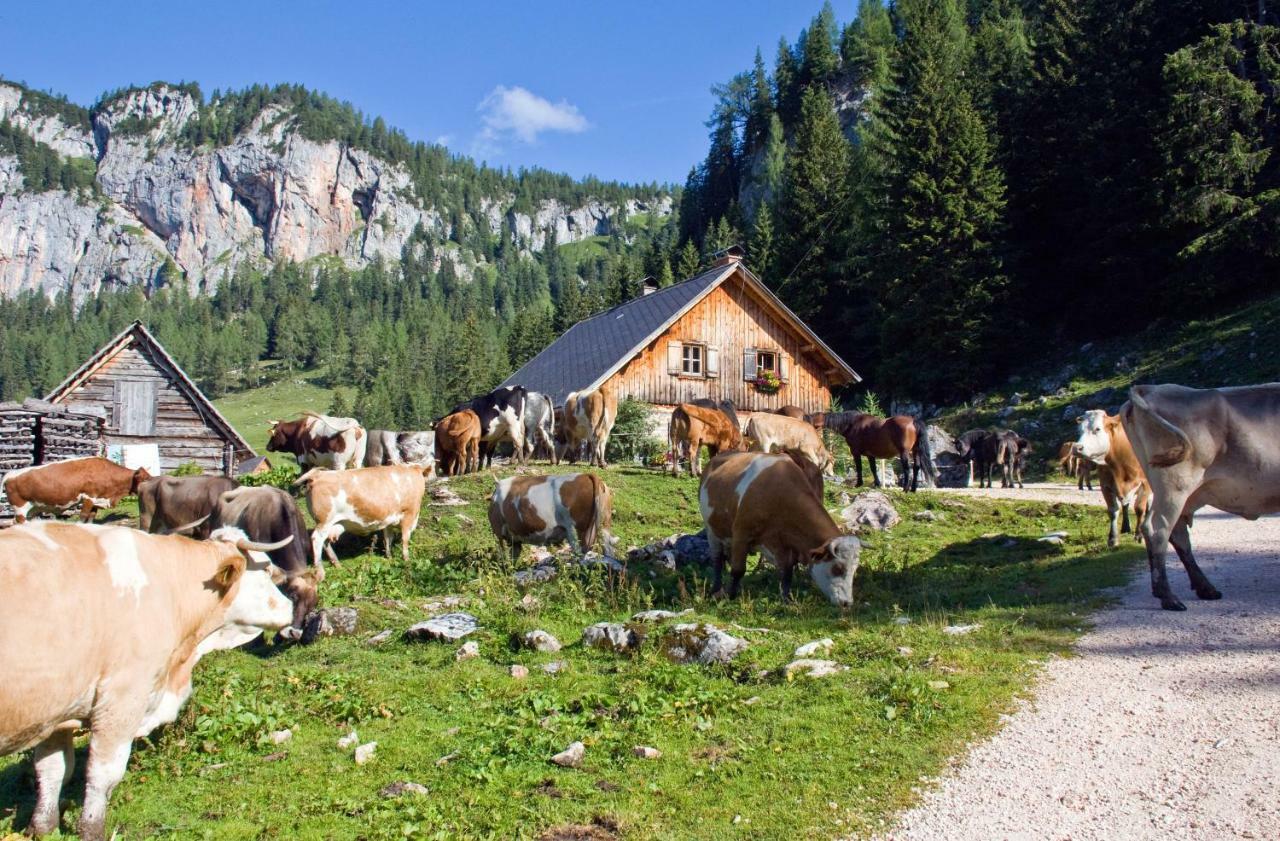 ALPRIMA Aparthotel Hinterstoder Buitenkant foto